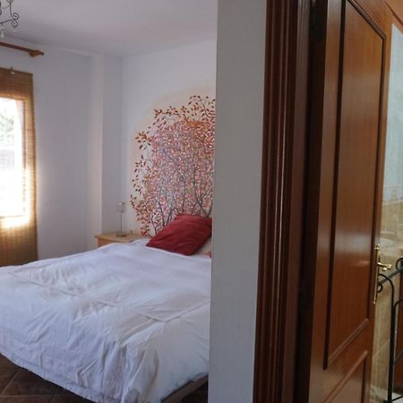 Casa Colores Tenerife Guesthouse Candelaria Eksteriør billede